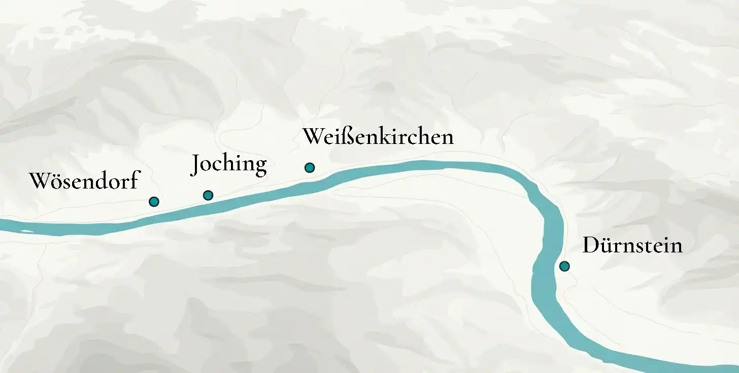 Grüner Veltliner – Media 3